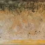 Lisa Wolf Künstlerin, Austrian Artist, Malerei Öko Häppy Benches, Sprechende Wände, Kindermalworkshop, Internationale Künstlerin, Kunstprojekte, Schulprojekte, Kunst-Coaching, Talking Walls; Wiener Neustädter Künstlerin; Artworkshop International, Nepal Artwork; Socialwork with Art; School-Project; Schulprojekte; KinderKunstWoche im Atelier Lisa Wolf Telek, Berlin Art;