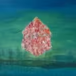 Lisa Wolf Künstlerin, Austrian Artist, Malerei Öko Häppy Benches, Sprechende Wände, Kindermalworkshop, Internationale Künstlerin, Kunstprojekte, Schulprojekte, Kunst-Coaching, Talking Walls; Wiener Neustädter Künstlerin; Artworkshop International, Nepal Artwork; Socialwork with Art; School-Project; Schulprojekte; KinderKunstWoche im Atelier Lisa Wolf Telek, Berlin Art;