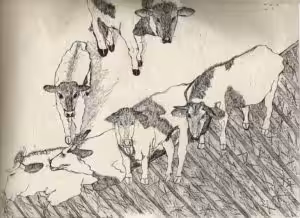 Lisa Wolf Künstlerin, Malerei Öko Häppy Benches, Sprechende Wände, Kindermalworkshop, Internationale Künstlerin, Kunstprojekte, Schulprojekte, Kunst-Coaching, Talking Walls;